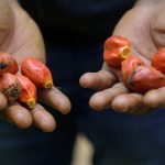 PIND to Host Policy Roundtable on Communal Conflict and Agricultural Investment in the Niger Delta