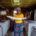 How Solar Innovation is Helping Fisherfolk Mitigate Food Losses in the Niger Delta