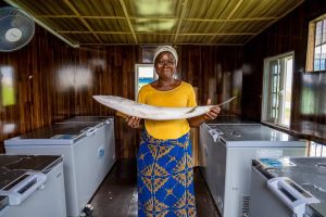 How Solar Innovation is Helping Fisherfolk Mitigate Food Losses in the Niger Delta