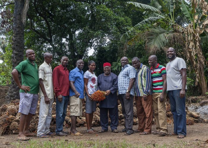 30 April 2015, Umuagwo, Imo State, Nigeria.
Members of the Umuagwo palm oil millers cooperative society in Umuagwo, Imo state.
